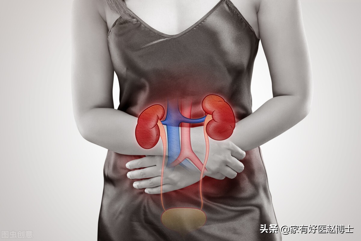 尿频、尿急、尿痛！尿路感染为何女性高发，预防与用药有何讲究？