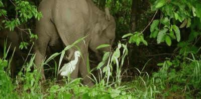 豆瓣9.8分悬疑大片,窥探电视剧豆瓣评分