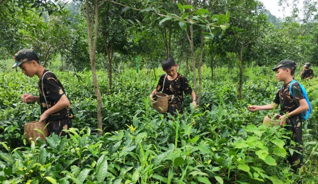 蹇冭埅绾垮浠よ惀鍖椾含,蹇冭埅绾垮浠よ惀
