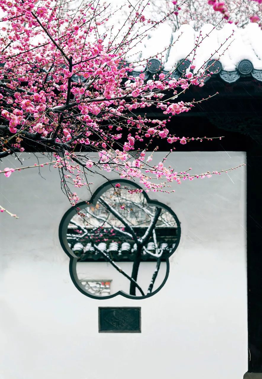 三大赏樱胜地哪个地方樱花最多,国内赏樱花的最佳地点