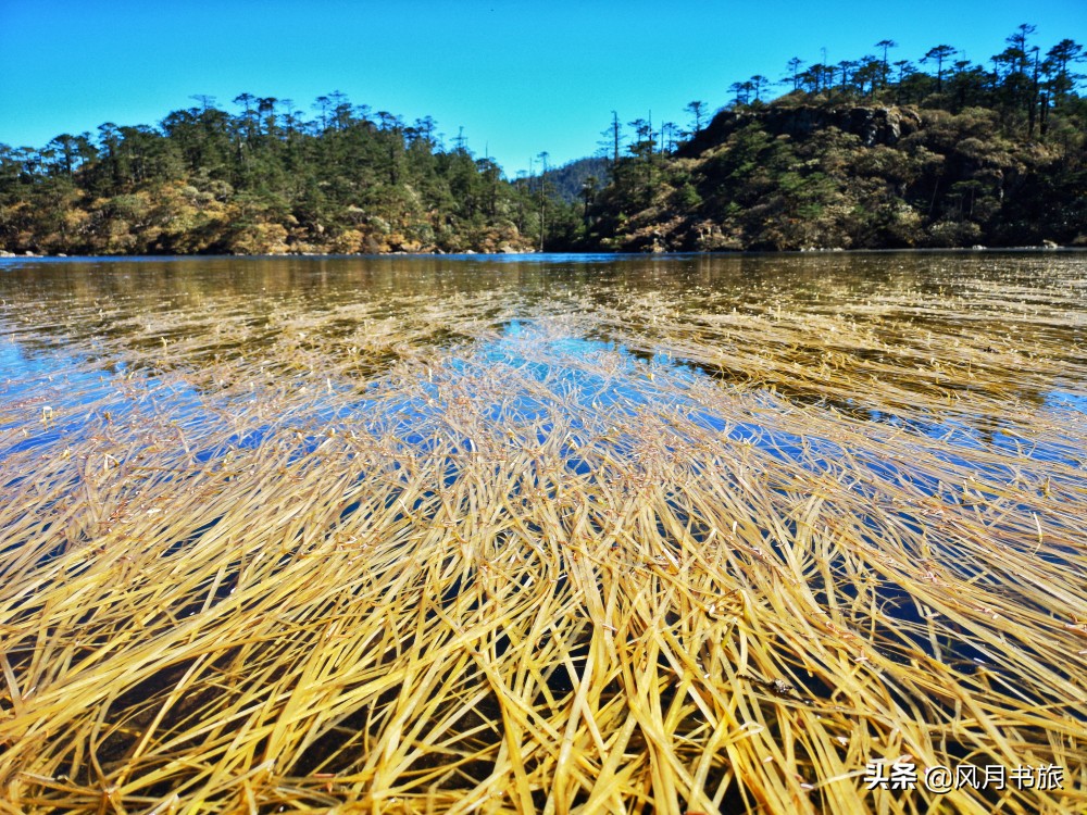 西昌山火肆虐过后救火者,西昌木里救火英雄