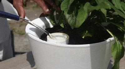 用泥巴做什么生意赚钱,小作坊做泥巴的生意