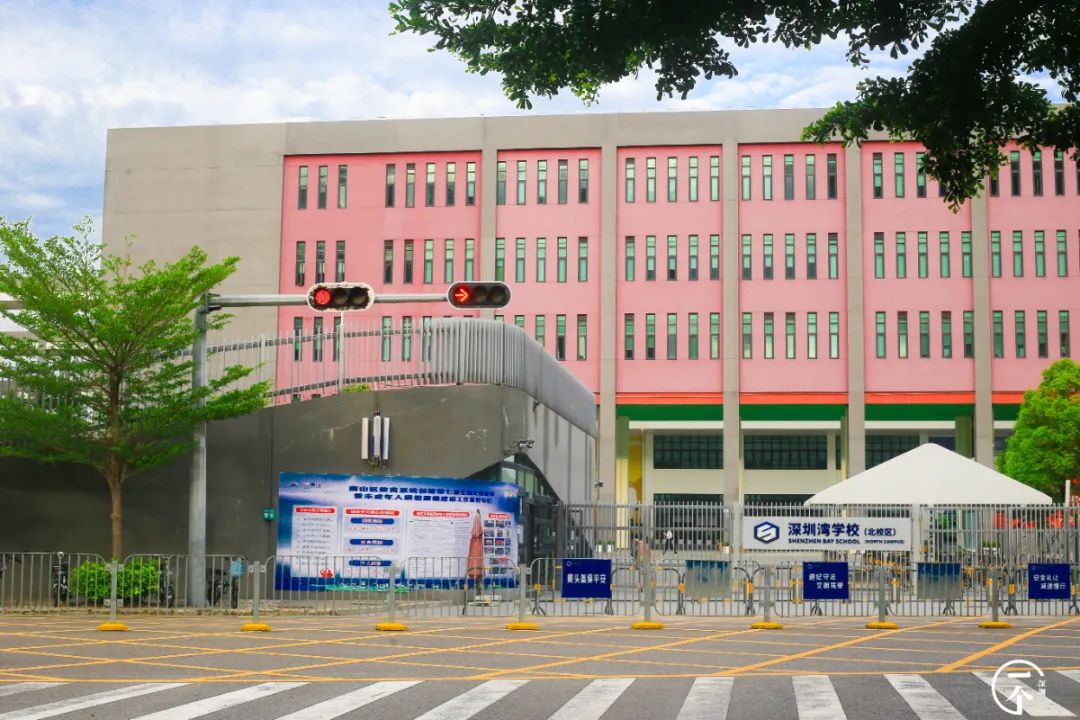 测评深圳湾,我直接被房租劝退