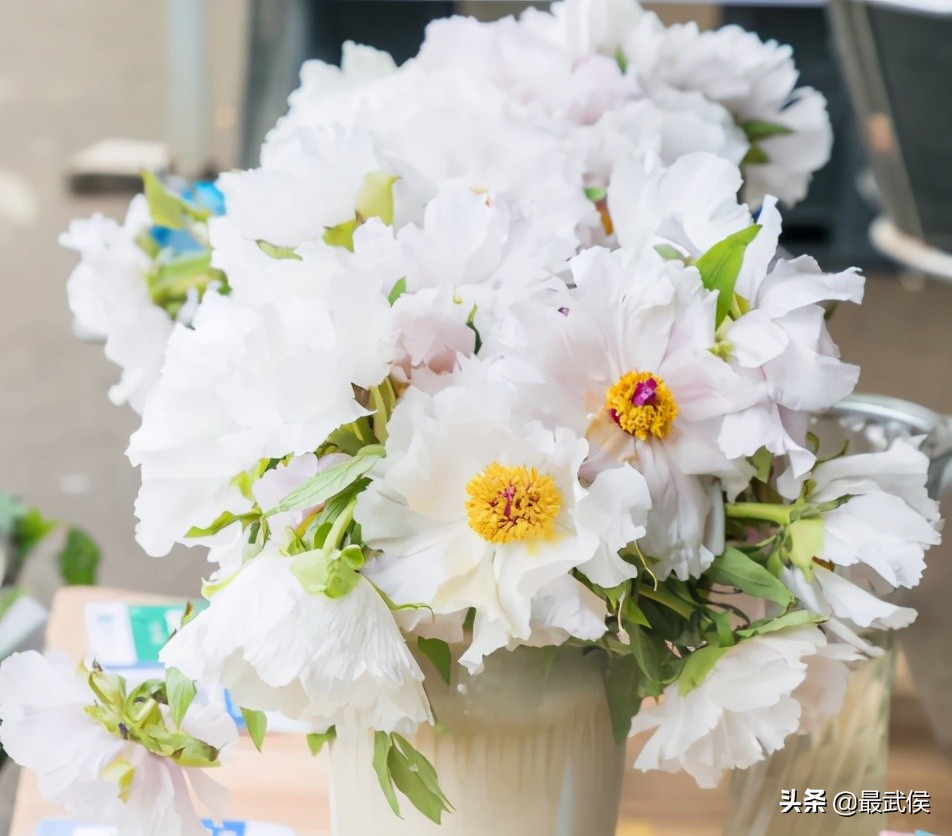 成都便宜的大花市,成都街边卖花一元一束