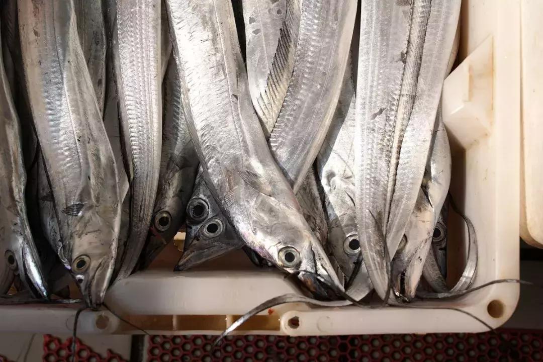 年味|带上小拖车跟我走!这里买年货实惠好吃