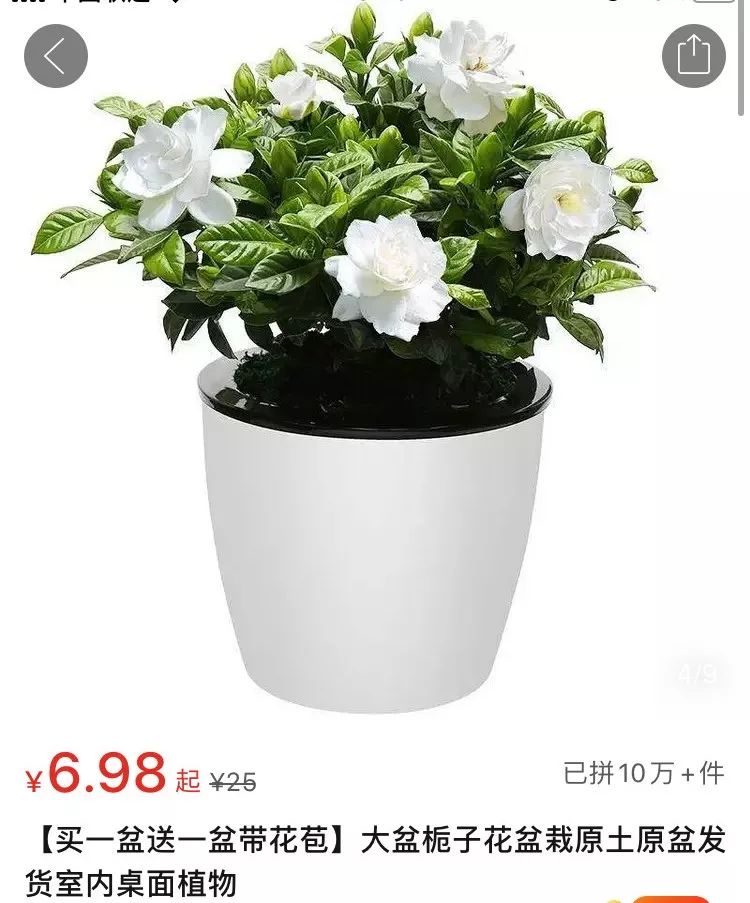 拼多多质量好价格低的店,均价不到十块的好物