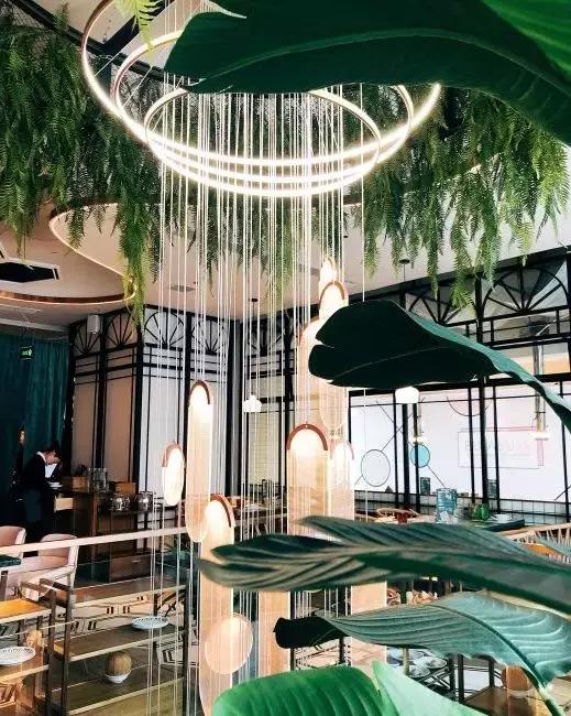 我在2018年的网红美食堆里，精挑出了这23家火爆的店给你！