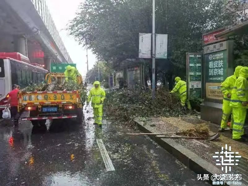 中心城区已清理305株倒伏树木，今夜大连仍风骤雨急！