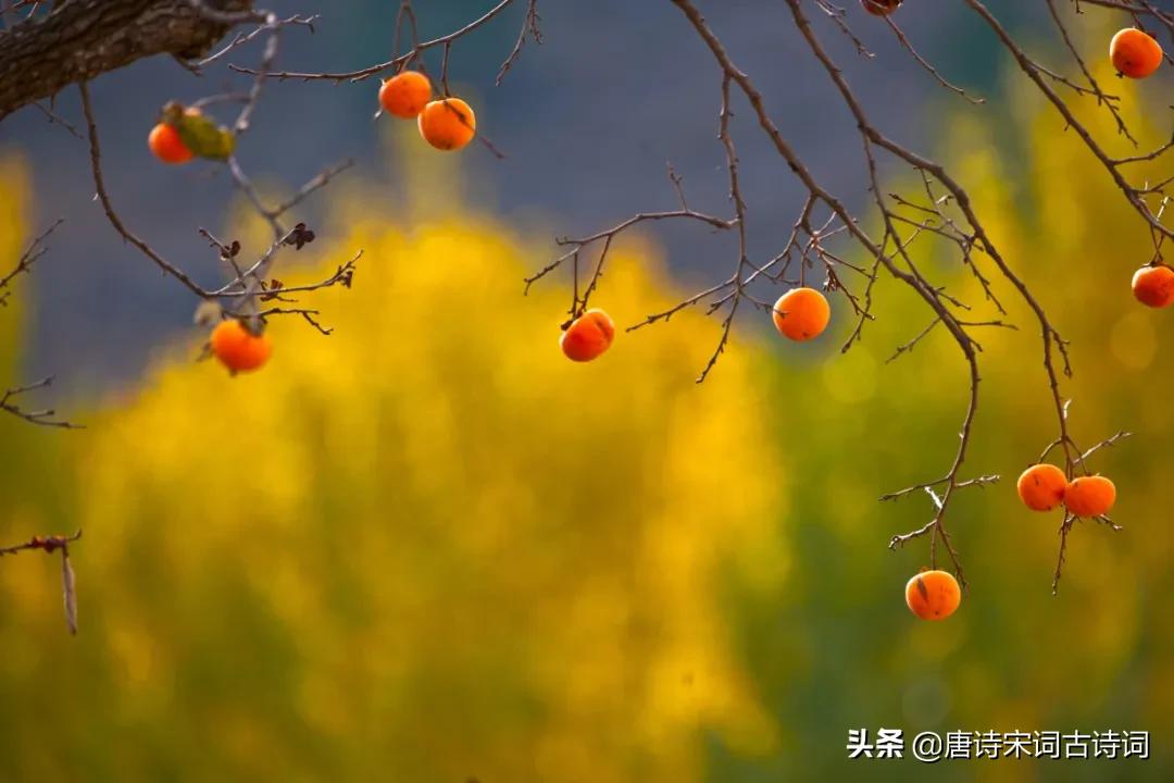 乡村印记一乡一景,远去的乡村符号