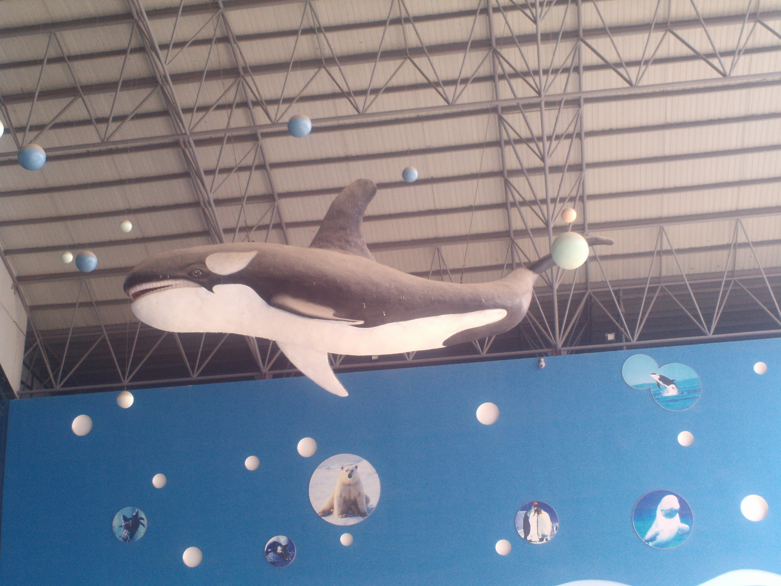 泉城海洋极地世界游玩攻略,泉城海洋极地世界官网