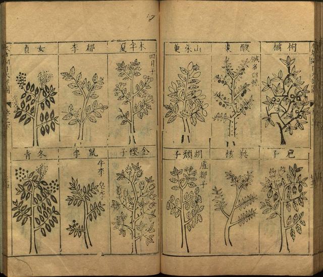 李时珍与本草纲目ppt课件,神农本草经正版李时珍书籍