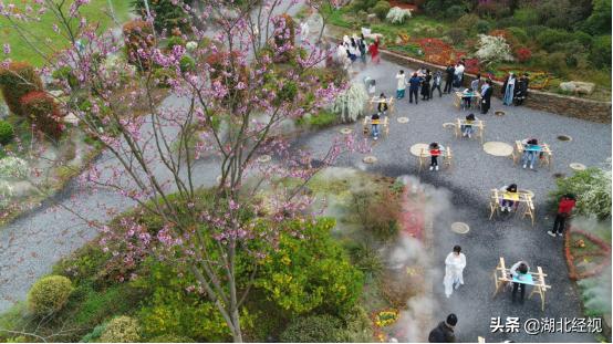 2021年武汉赏花季,武汉免费赏花踏青攻略