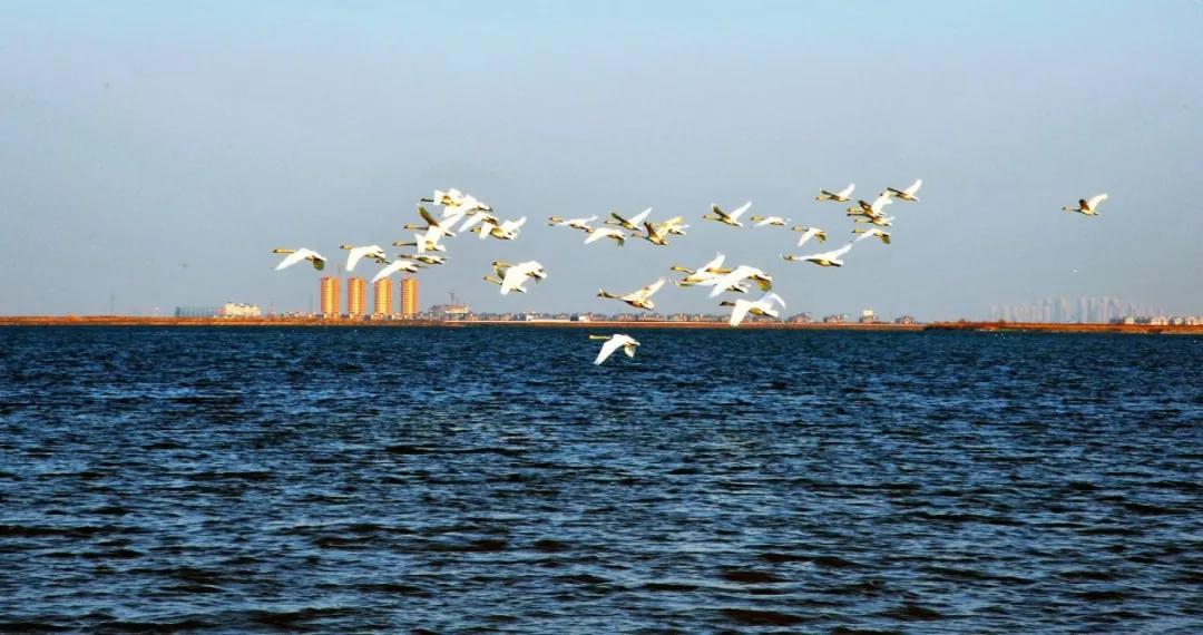 天津市今天的静海消息,天津骄傲的大静海