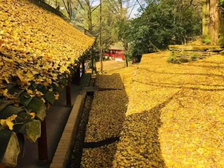 雅安旅行攻略亲子游,雅安市旅行攻略自由行路线