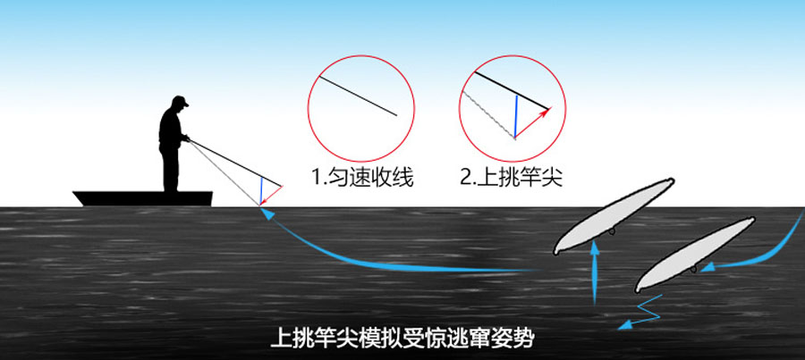 路亚翘嘴鱼到岸边为什么能脱钩呢,怎么路亚翘嘴和白条