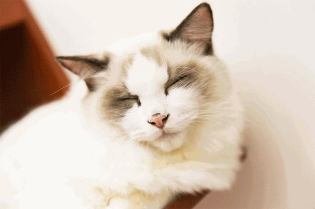 杩涘叆绾康纰戝康纰戣胺,杩涘叆绾康纰戣胺