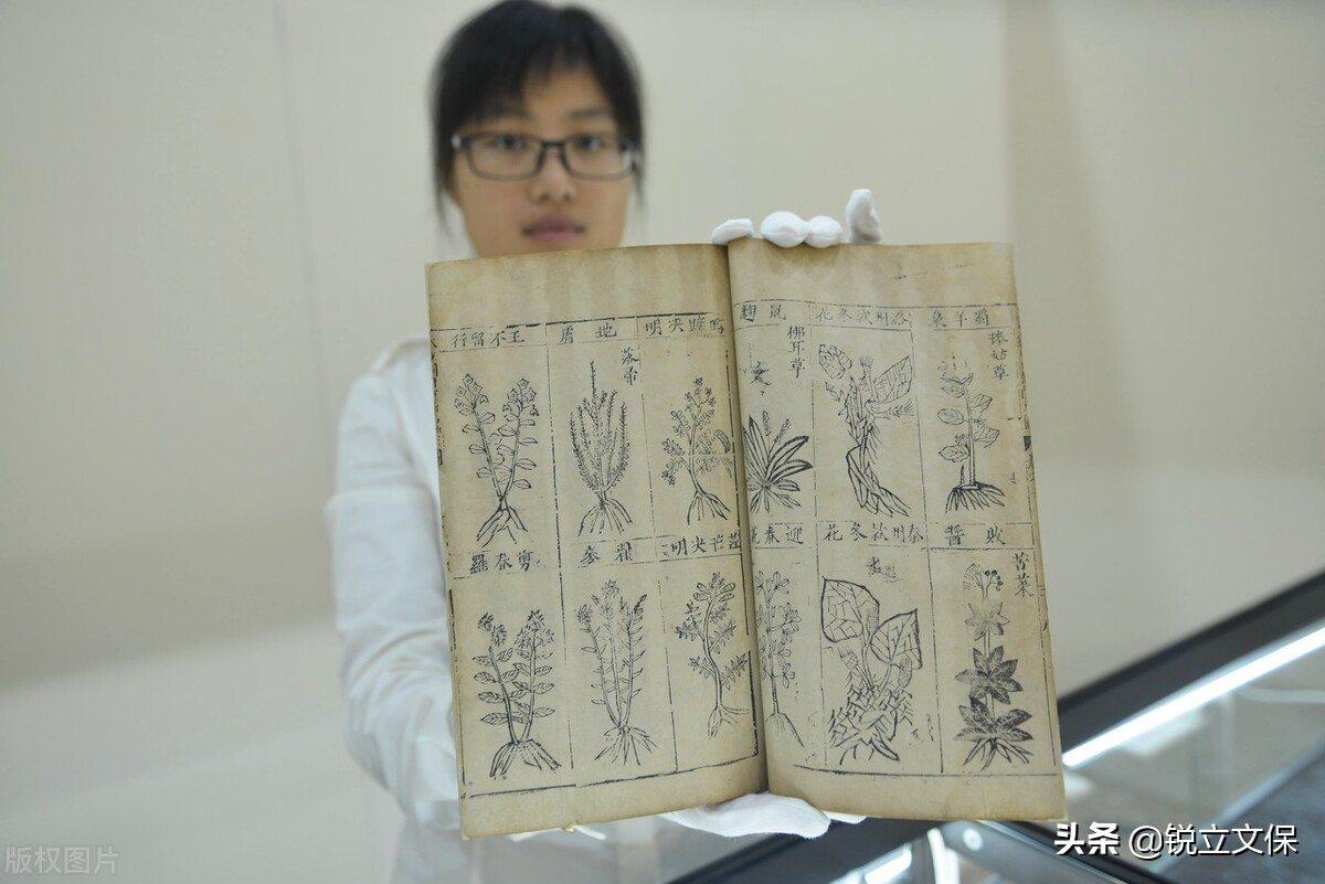 古籍修复方法可逆吗,古籍书修复视频