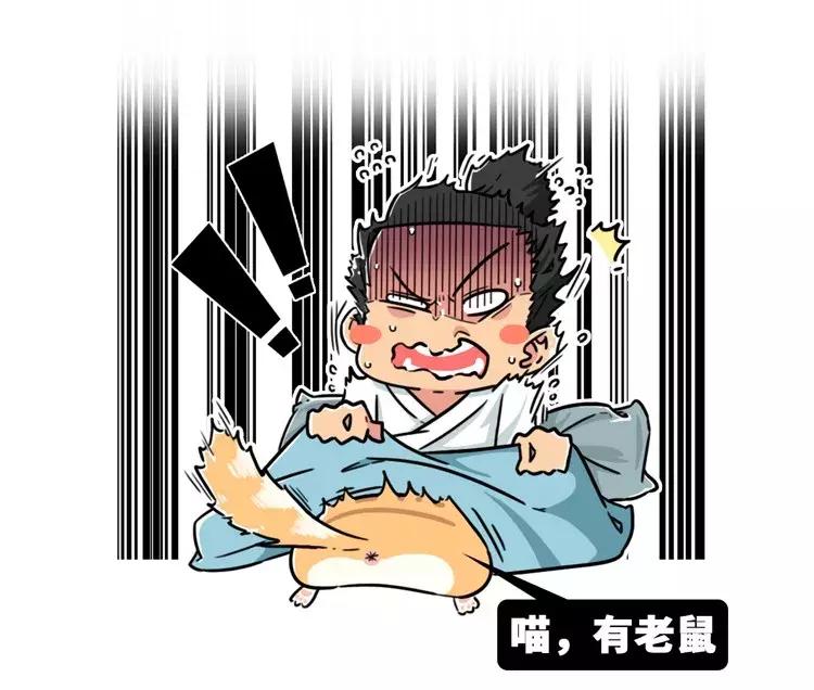 在古代，做猫奴是一种什么体验