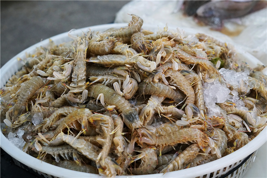 嵊泗列岛的梭子蟹很棒,浙江象山石浦码头梭子蟹