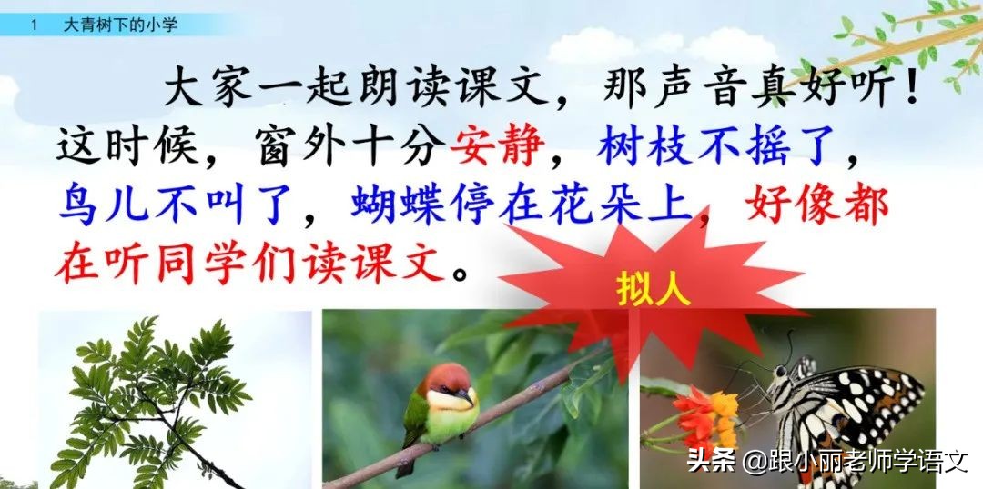 大青树下的小学必会知识点,大青树下的小学必考知识点