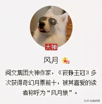 网文界的索尔维会议?这些网文作者累计码字10亿