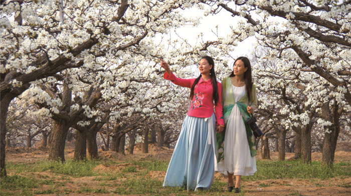 物微意不浅感动一沉吟——植物诗词隐含的生态思想及教育意义