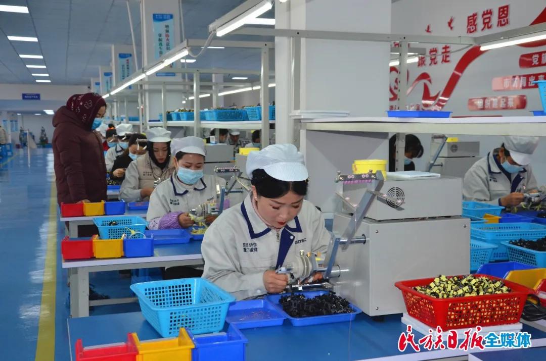 新型“引擎”在轰鸣 发展“星火”正燎原——甘肃省临夏州康乐县引进临夏科司特电子科技有限公司纪实