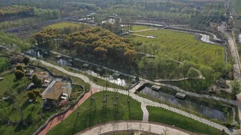 农村新型果园6亩赚钱方式,果园农场怎么赚钱