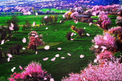 川藏线自驾游什么时候去好,自驾游川藏线的最佳时间