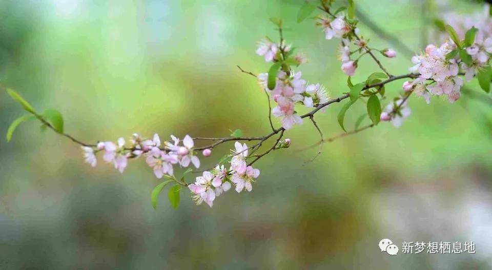 股市盈利的基础知识,股市真相必读视频