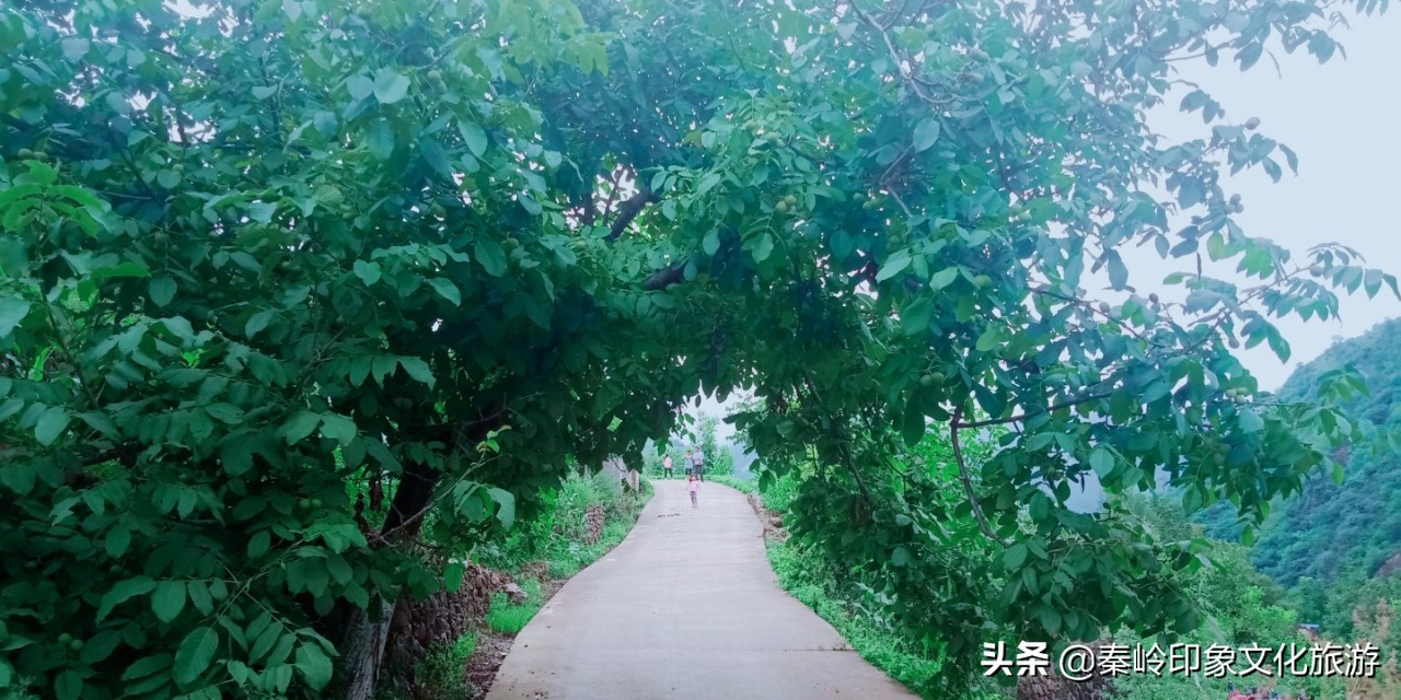 沁源赋作品欣赏,沁源赋文学总结