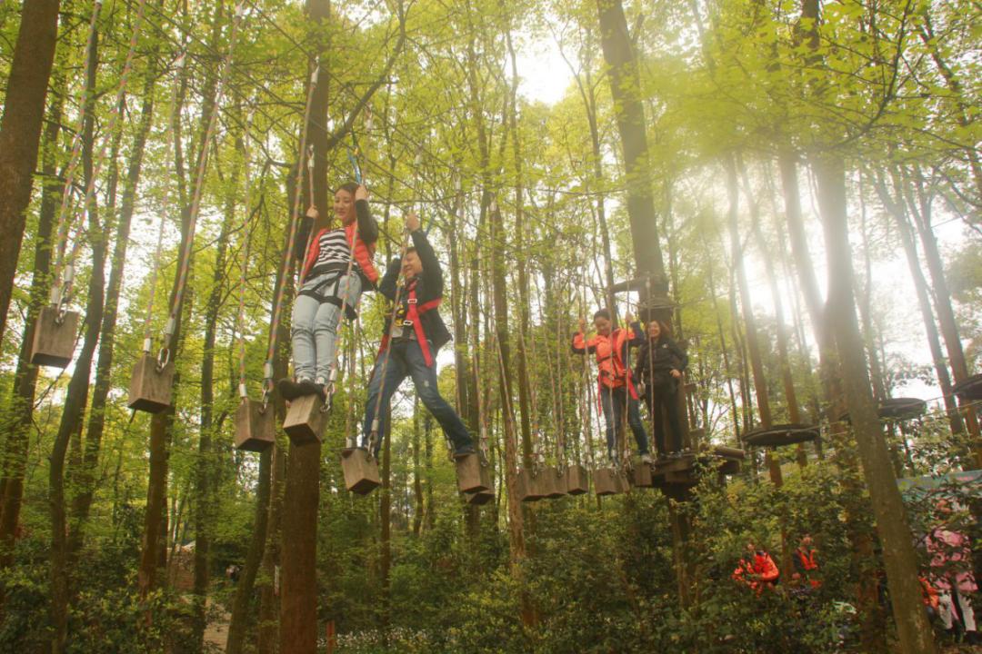 精品旅游线路乡村游亲子游,2020年全国精品乡村旅游路线