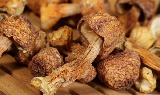 脑梗和脖子右面起硬块有关系吗,得脑梗脖子有硬块咋回事