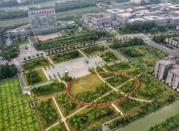 魔都最美健身步道普陀,魔都最美健康步道排名