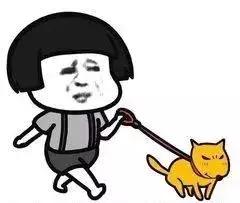 赔了20万！狗狗只是起身走了两步，老人摔成9级伤残！网友炸锅…