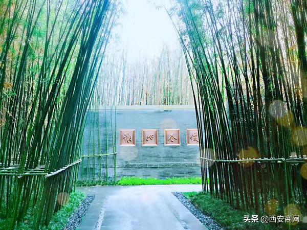 碧桂园“浐灞双星”闪耀||于城市浮尘中筑一处世外桃源