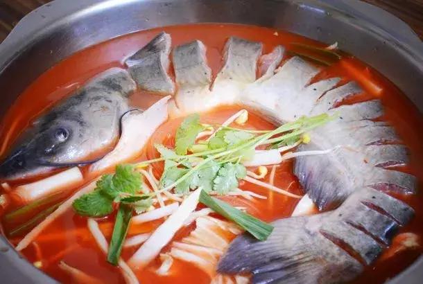 自驾游四川宜宾到贵州旅游攻略,贵州自由行旅游攻略最佳线路