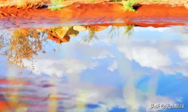 伽师县发展,伽师发展