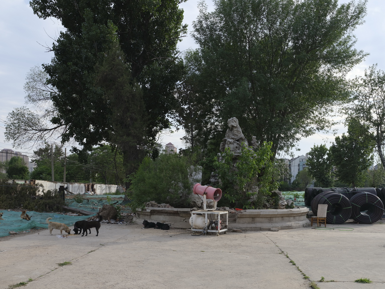 天津动力机厂下岗职工,天津动力机厂在哪