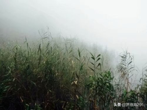 南乡子冯延巳表达了什么,冯延巳南乡子细雨湿流光