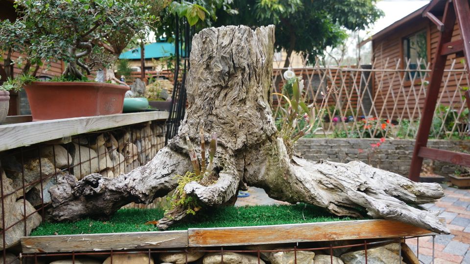 疫情过后娱乐行业重创,疫情过后旅游业的反弹