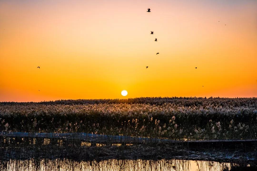 武汉周边自驾一日游小众免费,国内最值得自驾游旅行的地方
