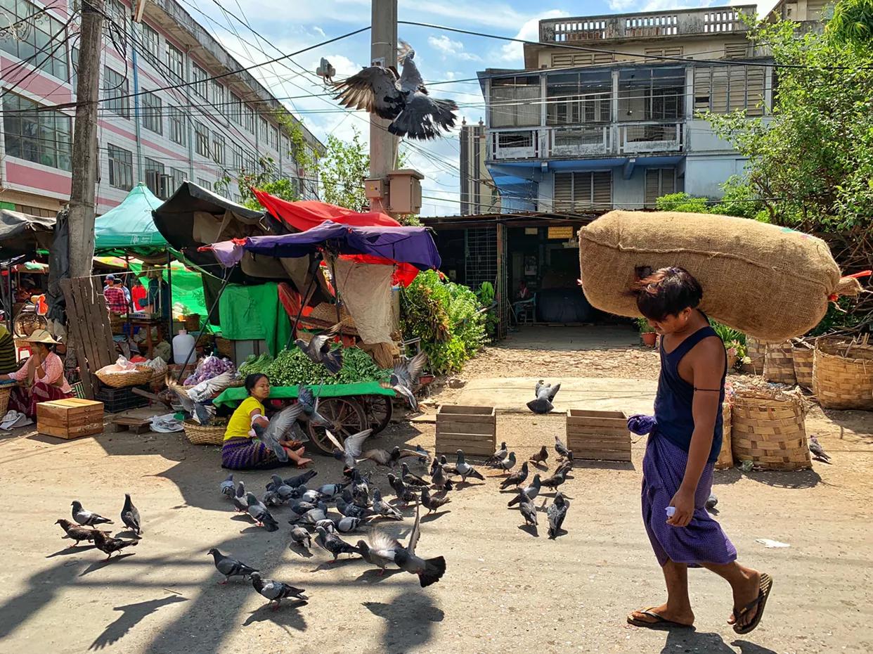 看完你还敢去缅甸北部吗,看完这篇文章你还敢去做鱼疗吗