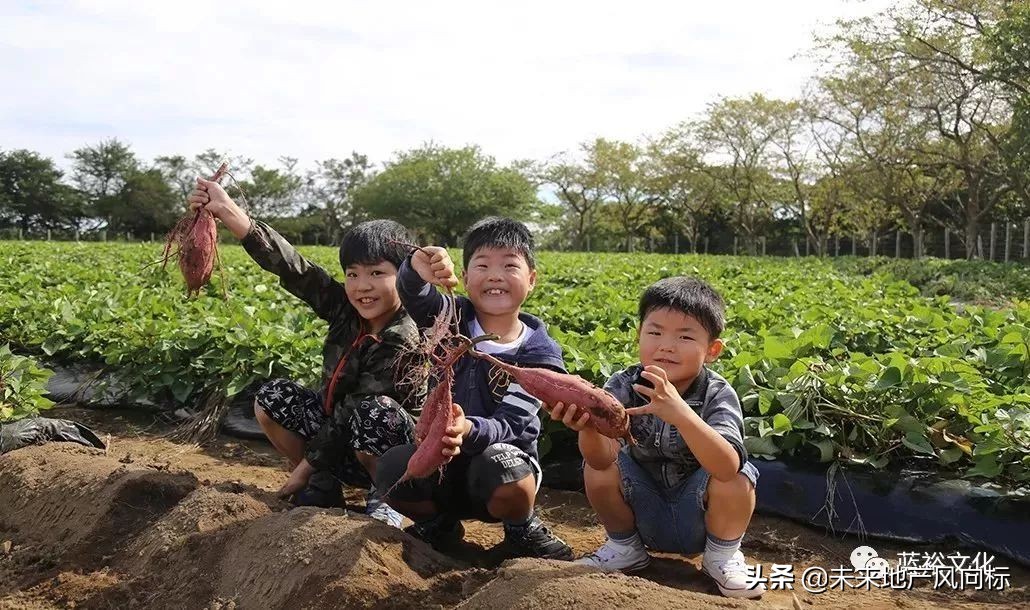 母亲牧场要玩多久,低成本花园家庭农场亲子乐园
