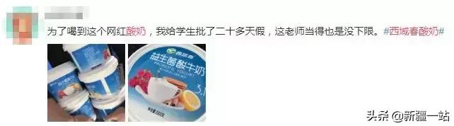 疆新域酸奶,新款新疆伊犁酸奶