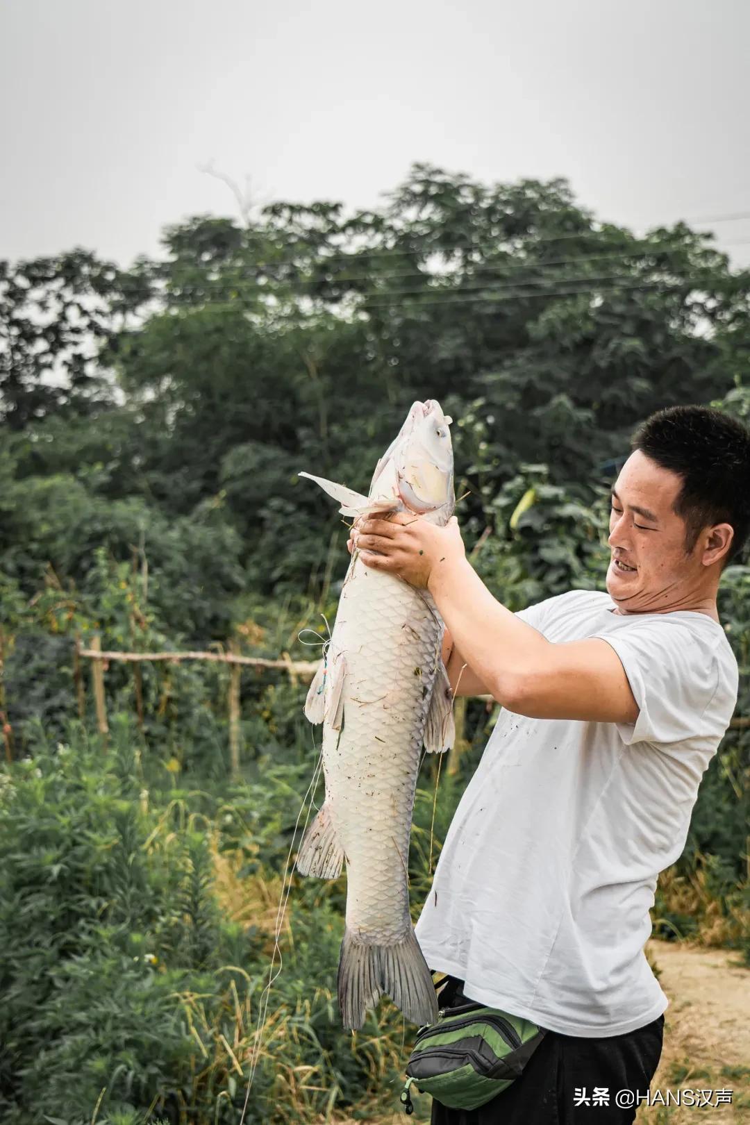 天元邓刚在湖北枣阳钓鱼的视频,武汉天元邓刚视频