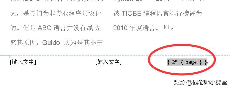 word分栏怎么设置单独页码,word分栏后怎么在每一栏加页码