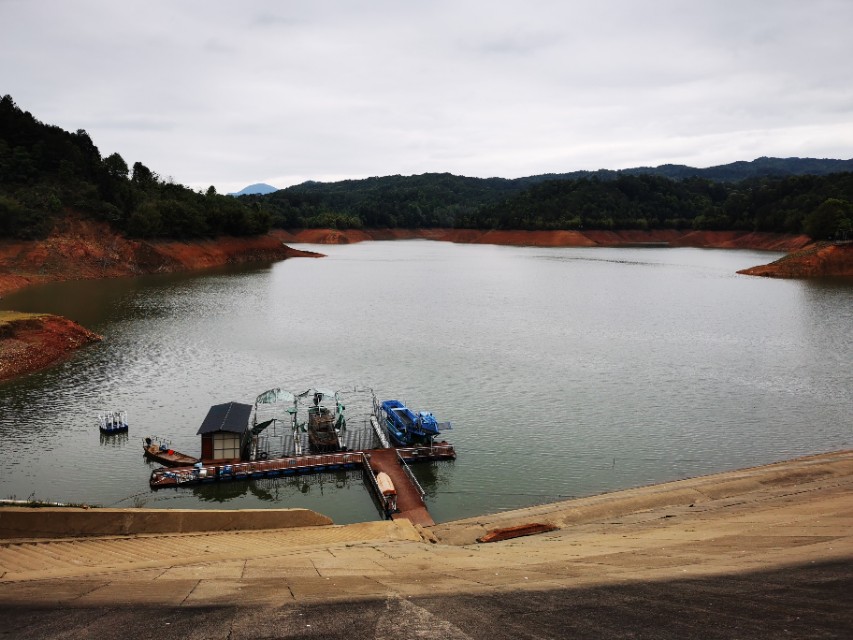 黄田谷水库钓鱼,黄田镇钓鲤鱼视频