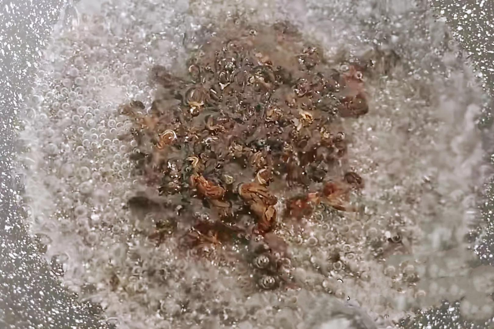 如何做没有添加剂的奶茶,做出好喝的奶茶无添加剂