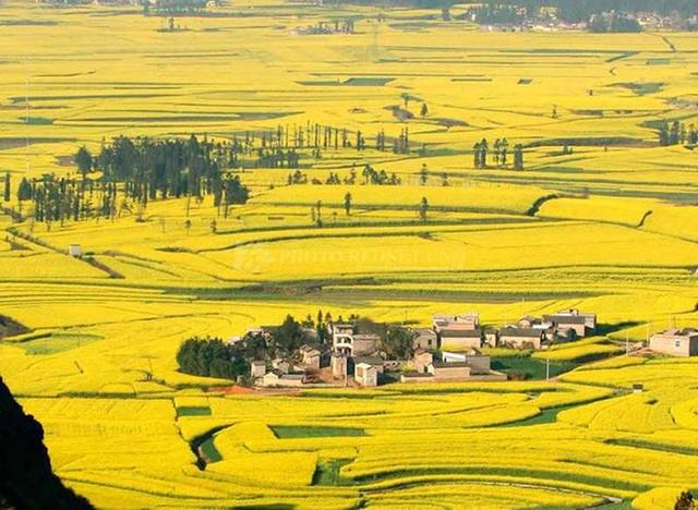 一生必去一次的云南之旅,一生必去的中国50个最美地方云南